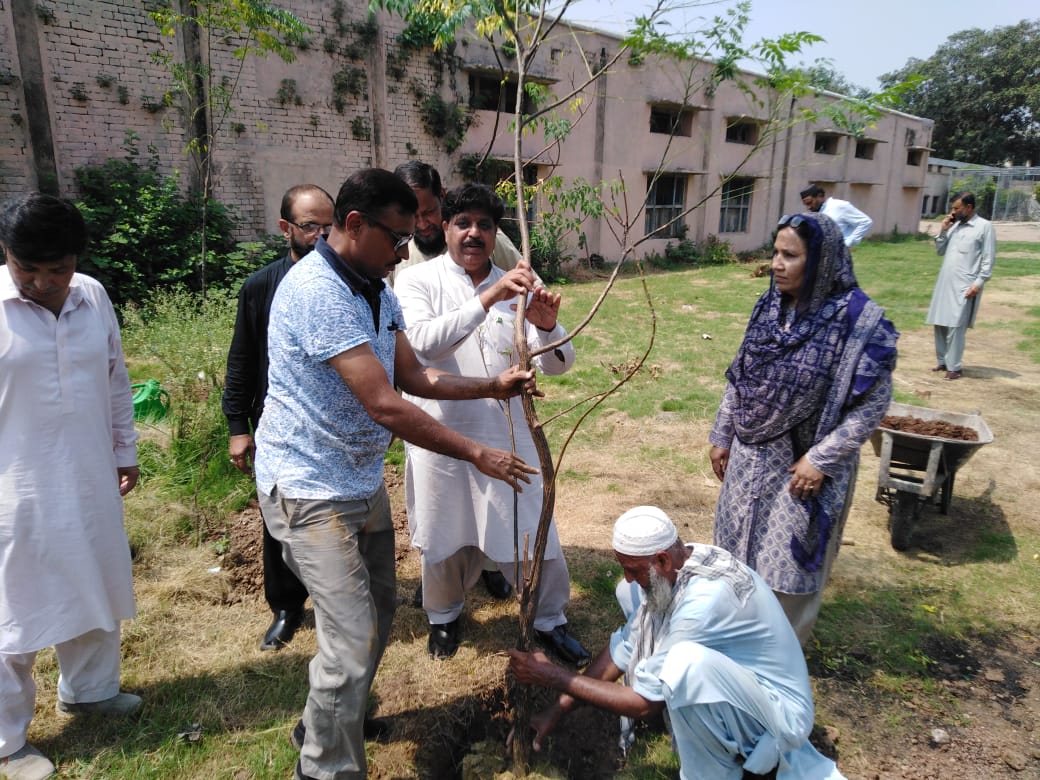 Make_Pak_Green's tweet photo. If you could just imagine the value of the single seed  you planted today after a decade you would have planted a whole forest.
#MakePakistanGreen https://t.co/W9eC2JJz68
