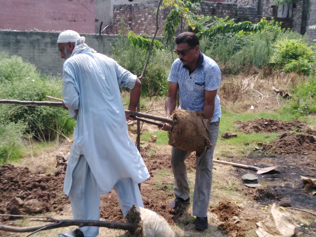 Make_Pak_Green's tweet photo. If you could just imagine the value of the single seed  you planted today after a decade you would have planted a whole forest.
#MakePakistanGreen https://t.co/W9eC2JJz68