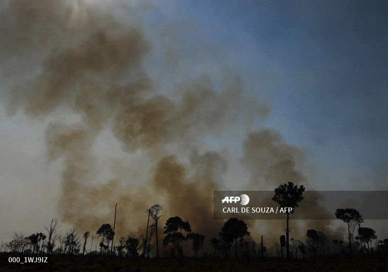AFPphoto's tweet photo. #Brazil - Illegal fire rips through Brazil's Amazon rainforest. #AFP
📸 @CarldeSouza1 
https://t.co/VDCn0yMo5k https://t.co/EIpxGw2iwr