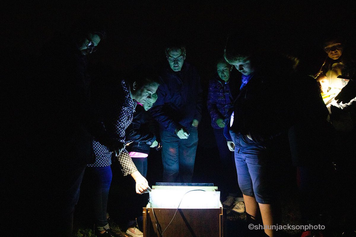 shaunjackphoto's tweet photo. Looking back at last years moth hunting in Wellesley Woodlands. #woodlands #aldershot #wellesley #portrait #nature #naturetrail #outside #photo #photography #photographer #moth #mothhunting #enjoyinglife #lovingnature #naturelovers https://t.co/wqwRxDVqTQ