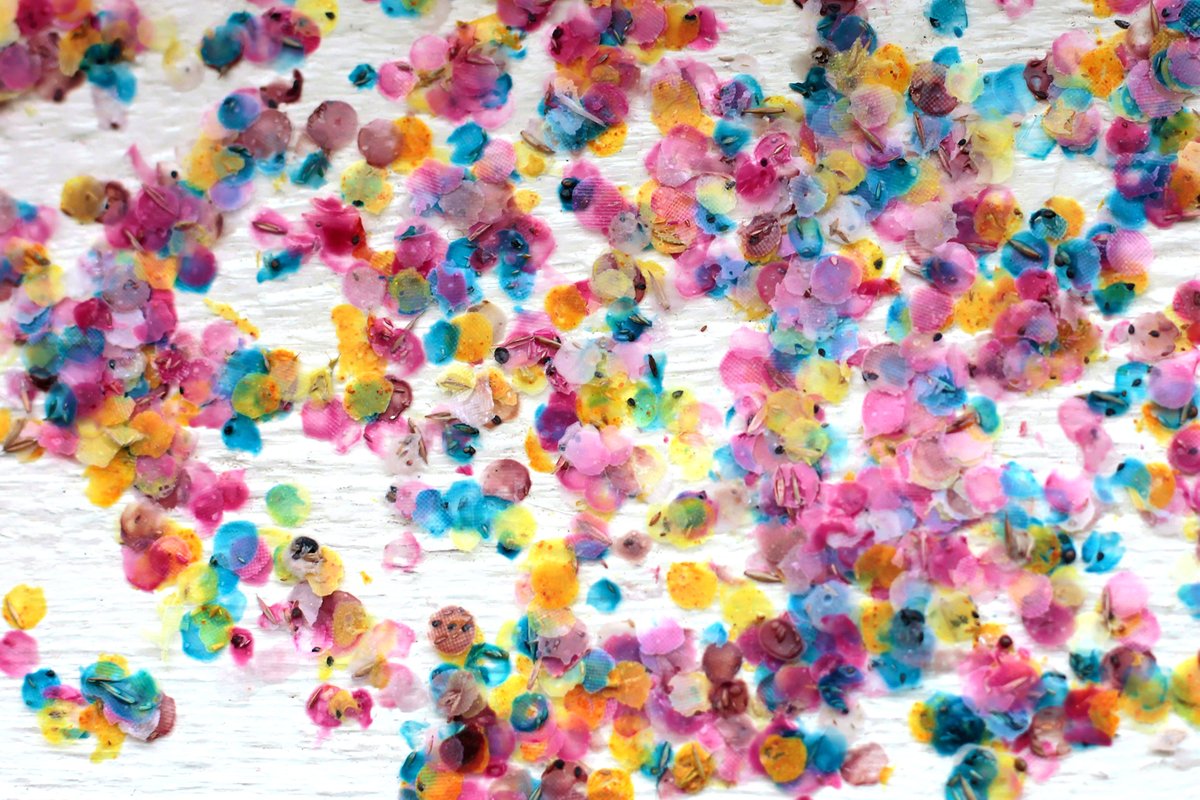 Saatgutkonfetti BBS aka seedconfetti (@saatgutkonfetti) on Twitter photo 