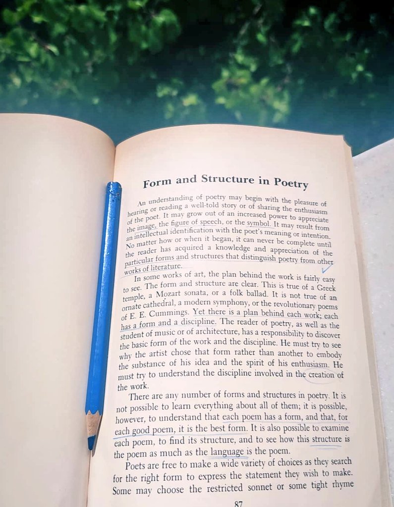 lenaozge's tweet image. #poetry #formandstructure
