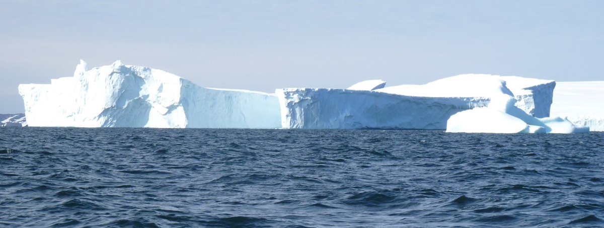 PROPOLAR tweet media