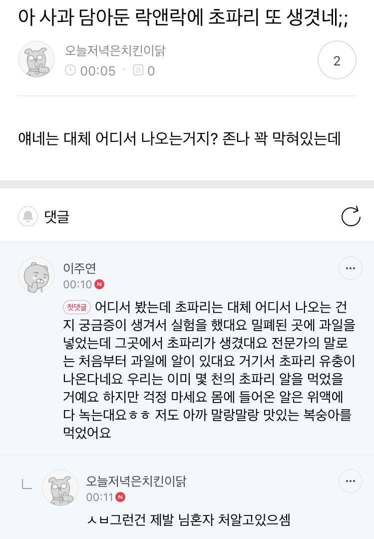cmspm6P's tweet photo. 초파리 하면 이 '말랑말랑 맛있는 복숭아'의 악의없는 광기가 늘 생각나요 https://t.co/6MiZCEb1OH