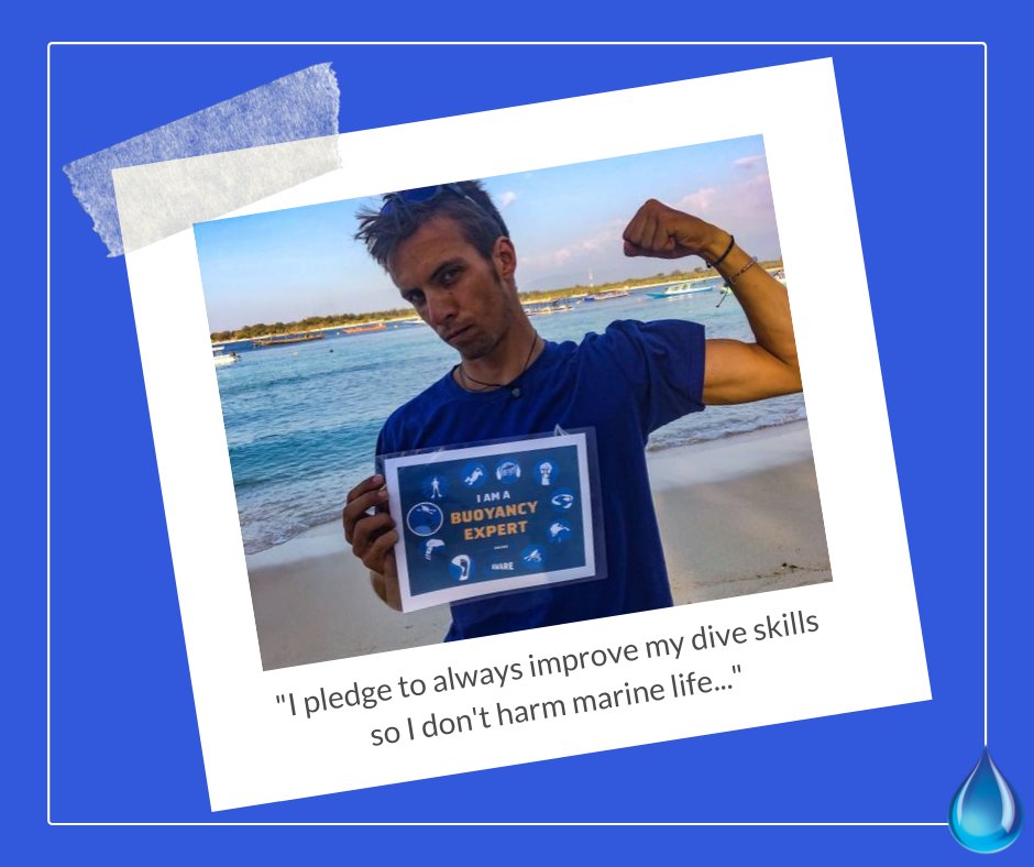 padiaware's tweet photo. #10TipsChallenge: Are you neutral buoyant when diving?
Tip #1 Be a Buoyancy Expert
If this is your #10Tip, take the pledge and share a selfie with the sign tagging @projectaware and #10Tips4Divers.
Share your tips and tricks.
https://t.co/7kVKu9dWfu
@PADI @bluemarlindive https://t.co/Y7lfAm3vce
