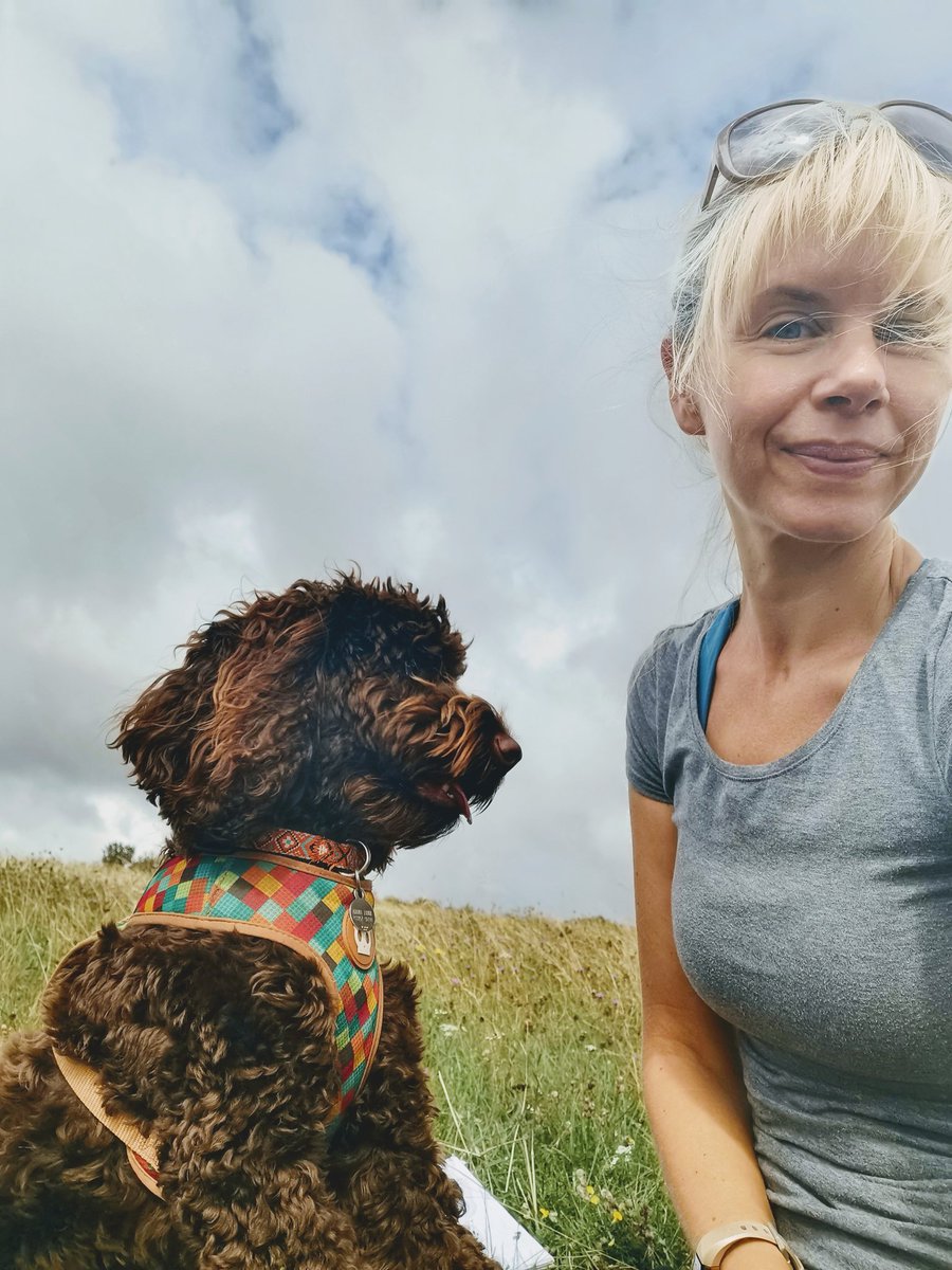 claire161803's tweet image. #ScienceDog Mabel assisted me with my #SpittlebugHunt this morning. This afternoon I will mostly be pulling burrs out of her fur 😳 #BrigitXylella @SussexLifeSci