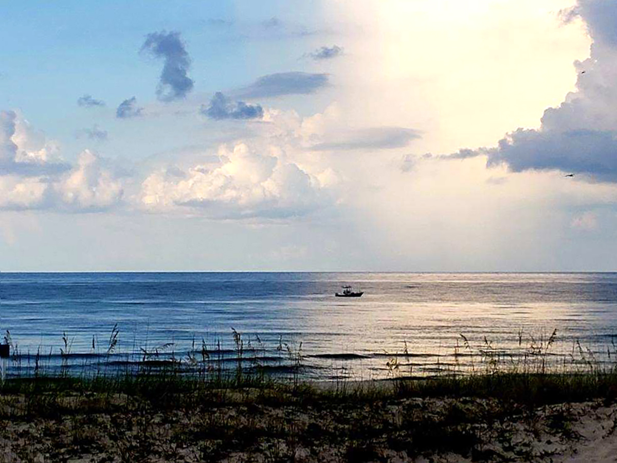 MeyerVacations's tweet photo. Good morning from the #GulfCoast. Today, let's agree to be someone's sunshine, their light, their reason to smile. Make it a great day, friends! #GulfShores #Beach #AlabamaTheBeautiful #Vacation https://t.co/gEVe8Fv5SM
