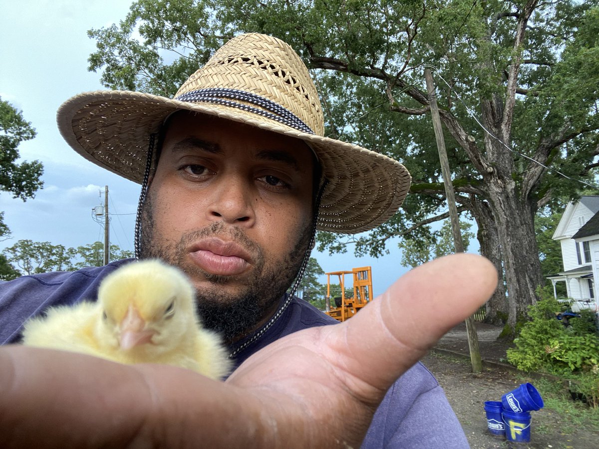 What do you see? Just a cute little chick🐥! <a href="/WiseFarmerBrown/">Jason Brown</a> sees an eight piece chicken 🐓dinner🍗! Being a farmer gives one great insight and the power to raise and grow. With great power comes great responsibility! Some superheroes wear straw hats! 👨🏽‍🌾 What’s your superpower?