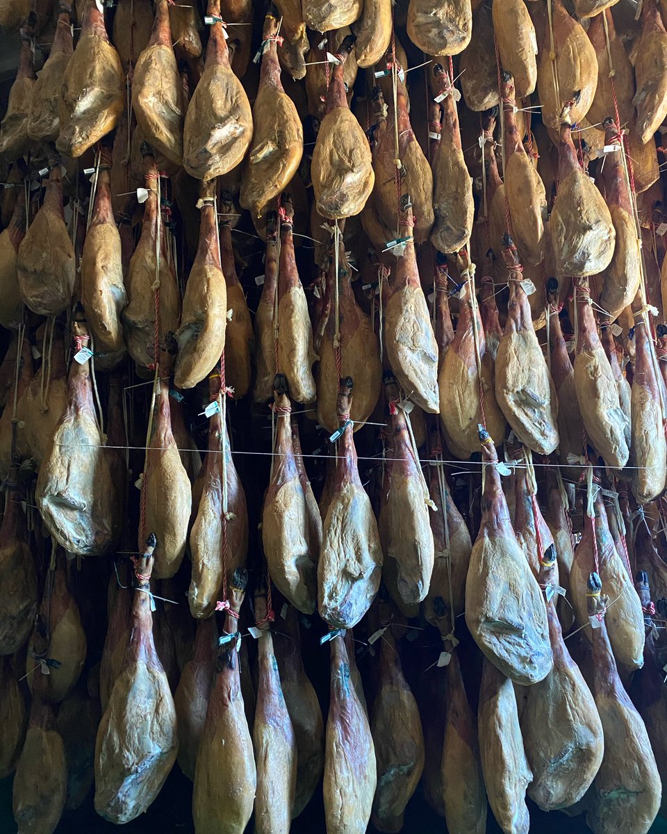 Nuestros jamoncitos a punto de acabar su curación 😍. Fabricación propia en nuestra fábrica de #laalberca (Salamanca) #hermanoshoyos #somosfabricantes #jamon #jamoniberico