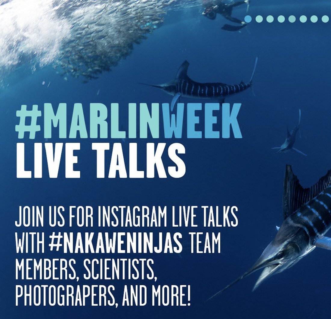 NakaweProject's tweet photo. Let us show you why striped marlins and other billfish are #WorthMoreAlive during #NakaweNinjas #MarlinWeek @NakaweNinjas @diveninjas and @nakaweproject want to share the stealth and beauty of striped marlins with you.
https://t.co/jAjyvLlH89
#Marlins #sharks #oceans #nature https://t.co/YWh6swUdHb