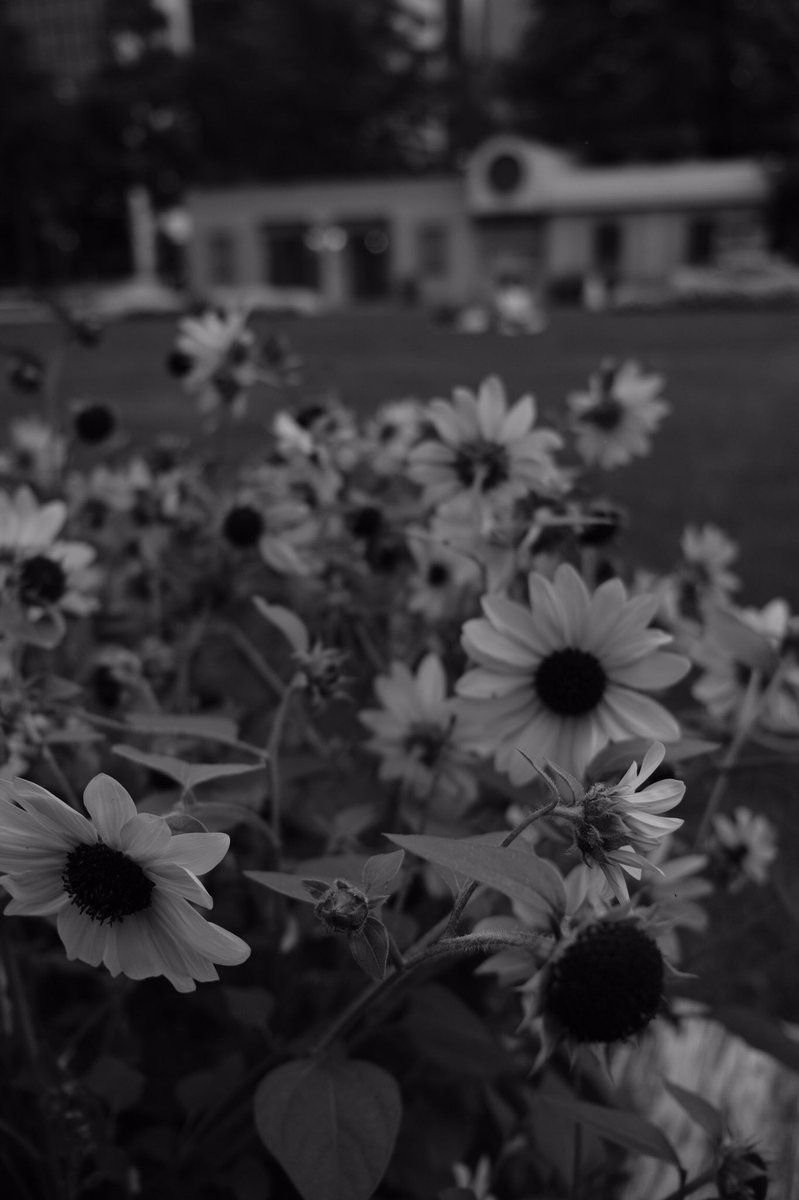 1themexthem's tweet photo. 今週のテーマ「シルエット」

火曜担当 nm
#photography https://t.co/aGnC2szxlw
