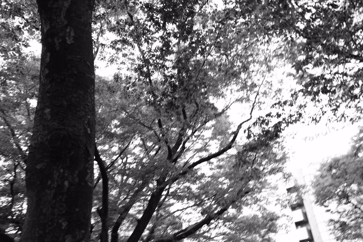 1themexthem's tweet photo. 今週のテーマ「シルエット」

火曜担当 nm
#photography https://t.co/aGnC2szxlw
