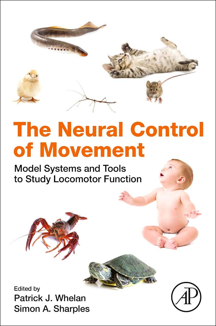 RuneWBerg's tweet image. New book chapter out:  &quot;The Turtle as a model for spinal motor circuits&quot; Chapter 9, in the book &quot;The Neural Control of Movement: Model Systems and Tools for Examining Locomotor Function&quot; 

sciencedirect.com/science/articl… 
#berglabcph #neuralcontrol #movement #neuroscience