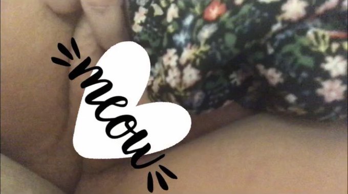 Aurora Haze’s pics and videos