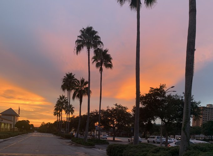 Florida https://t.co/8dcMzySha4