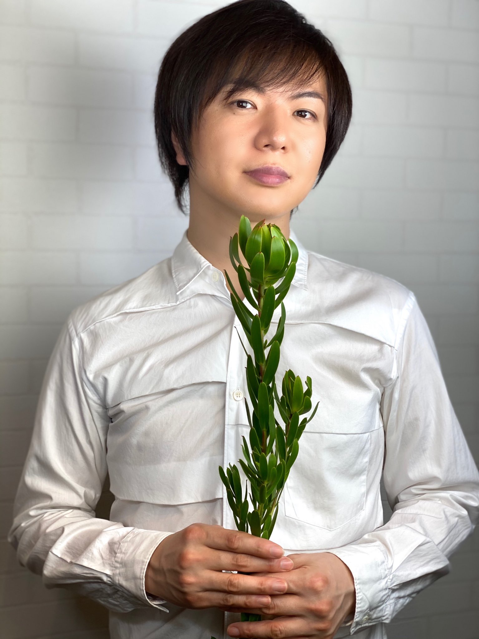 竹島宏スタッフ 公式 リューカデンドロン ゴールデンカップ 花言葉は 閉じた心を開く みんな仲間です 今日も１日お疲れ様でした ひろネット 花 Flower 花言葉 花を贈ろう 花のある暮らし 絆 花の癒し 花のパワー 感謝 リューカ