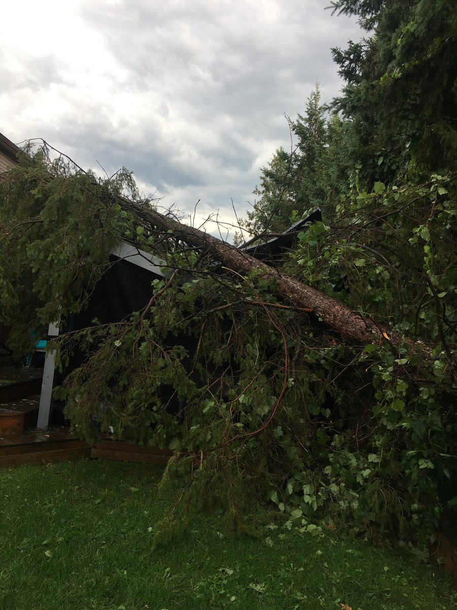 ThePowerForward's tweet photo. @JennaSudds Hi Jenna, all safe but we weren’t so lucky on our property. Massive tree (50ft+) from WC Bowes fell on our gazebo and into neighbour’s yard! Will need help from city convincing them of the safety risk to dismantle. Feel like dropping by? https://t.co/ojZmUslsWc