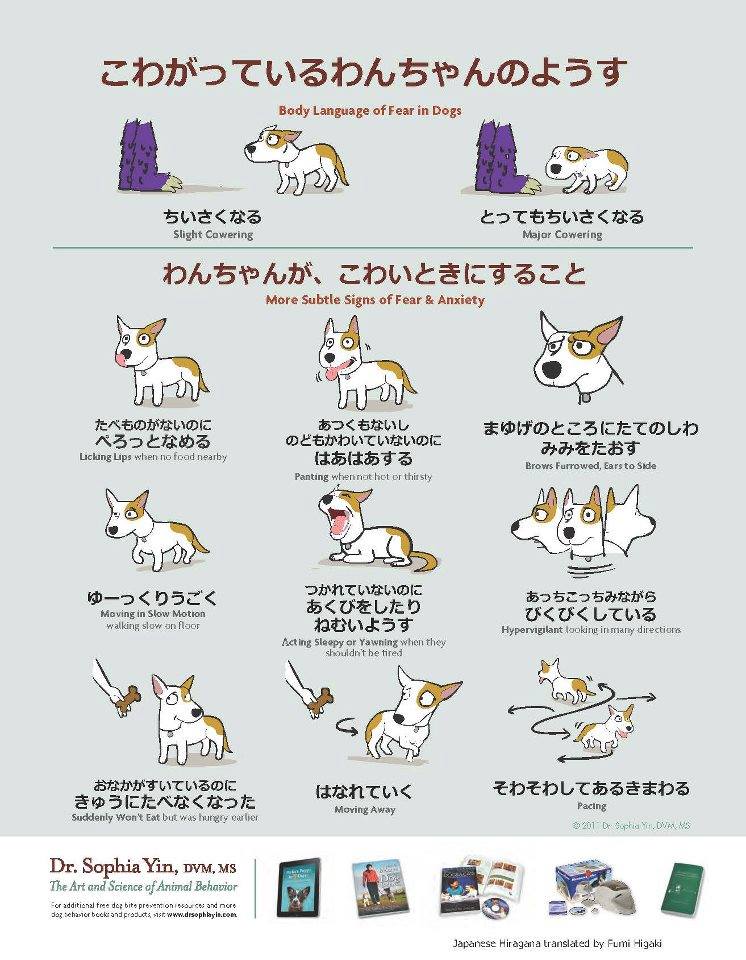 ぼいす ワンちゃんの様子をみる際には 是非ポスターの内容を参考にしてみてください ワンちゃんとよりよい関係を築くために どんどん拡散して頂けると嬉しいです ぼいす コミュニケーション 保護犬 Dog