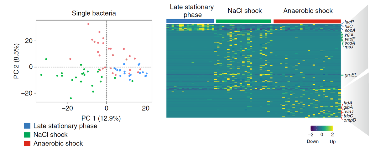 … and we could successfully delineate Salmonella physiology grown under different stress conditions (3/5).