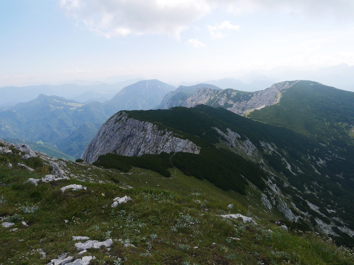 naturesworkuk's tweet photo. What a summer for alpine flowers. The first summer for my new book to be used as a field guide. It’s already been on a journey across the Alps #anaturalcompanion #alpineflowers #alps #thealps #flowerbook #flowers #geology #flowerguide https://t.co/B12YNPNkBY https://t.co/zBS1j8h5ed