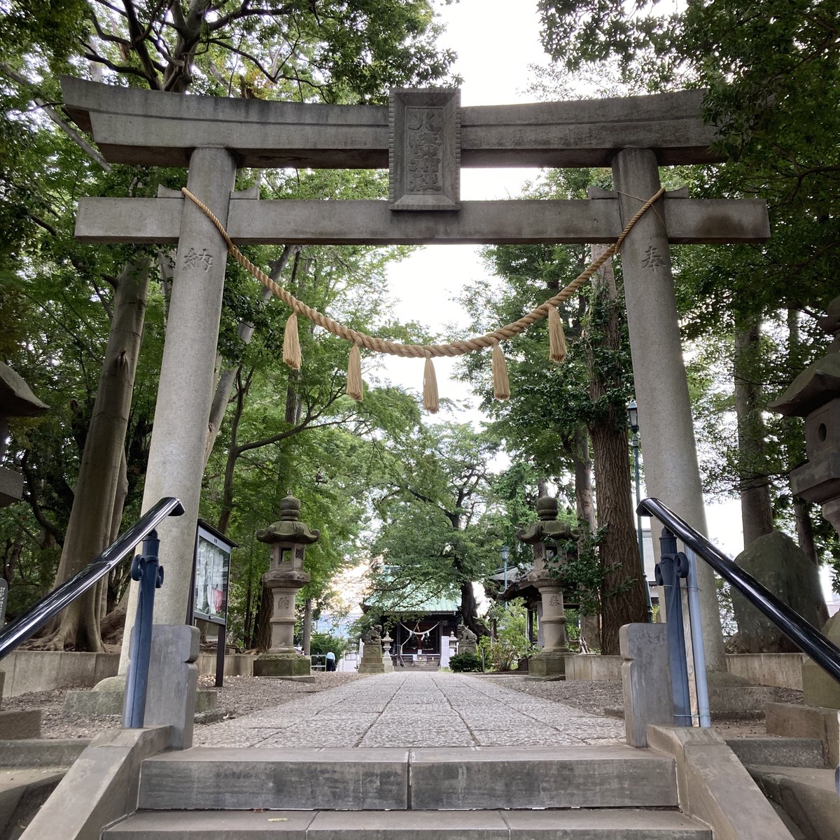 新横浜食料品センター 篠原八幡神社 夏祭りや七五三など新横浜界隈の子どもたちが お世話になることの多い神社 通称 八幡様 横浜市の名木古木指定されているクスノキやイチョウが 並んで生えている Tbsドラマ 逃げるは恥だが役に立つ の最終 新横浜食料品センター 篠原八幡神社 夏祭りや七五三など新横浜界隈の子どもたちが お世話になることの多い神社 通称 八幡様 横浜市の名木古木指定されているクスノキやイチョウが 並んで生えている Tbsドラマ 逃げるは恥だが役に立つ の最終