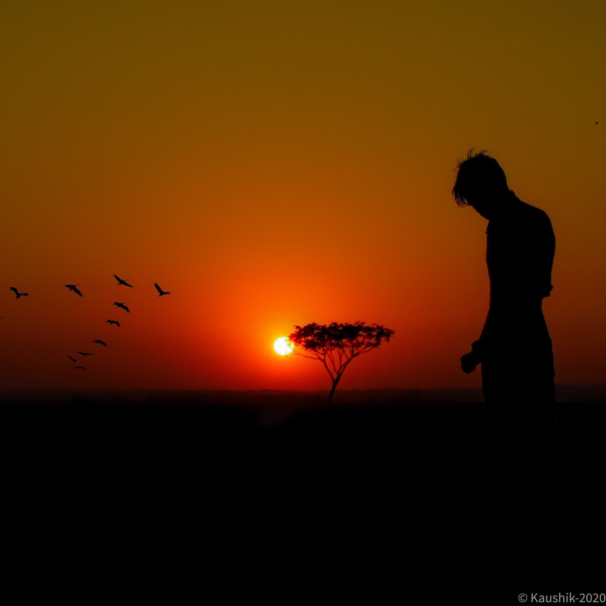 JourneysOff's tweet image. Beautiful sunset in the countryside #photography #travelphotography #photographylovers #photographyeveryday #toursinasia #travelblogger #filming #documentary #Asia