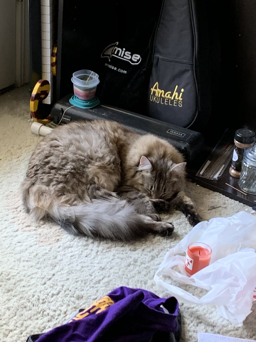 all this girl has done all day is eat breakfast, sleep in various positions, and command 98% of my attention