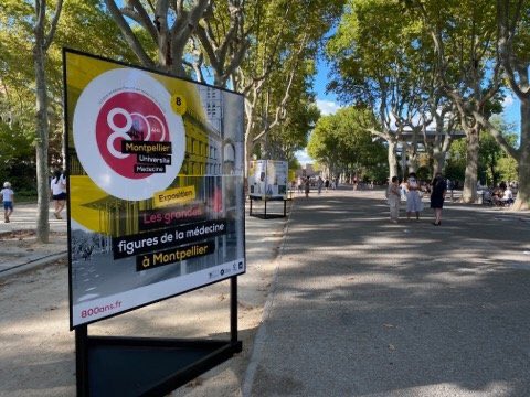 Paduano Valérie tweet media