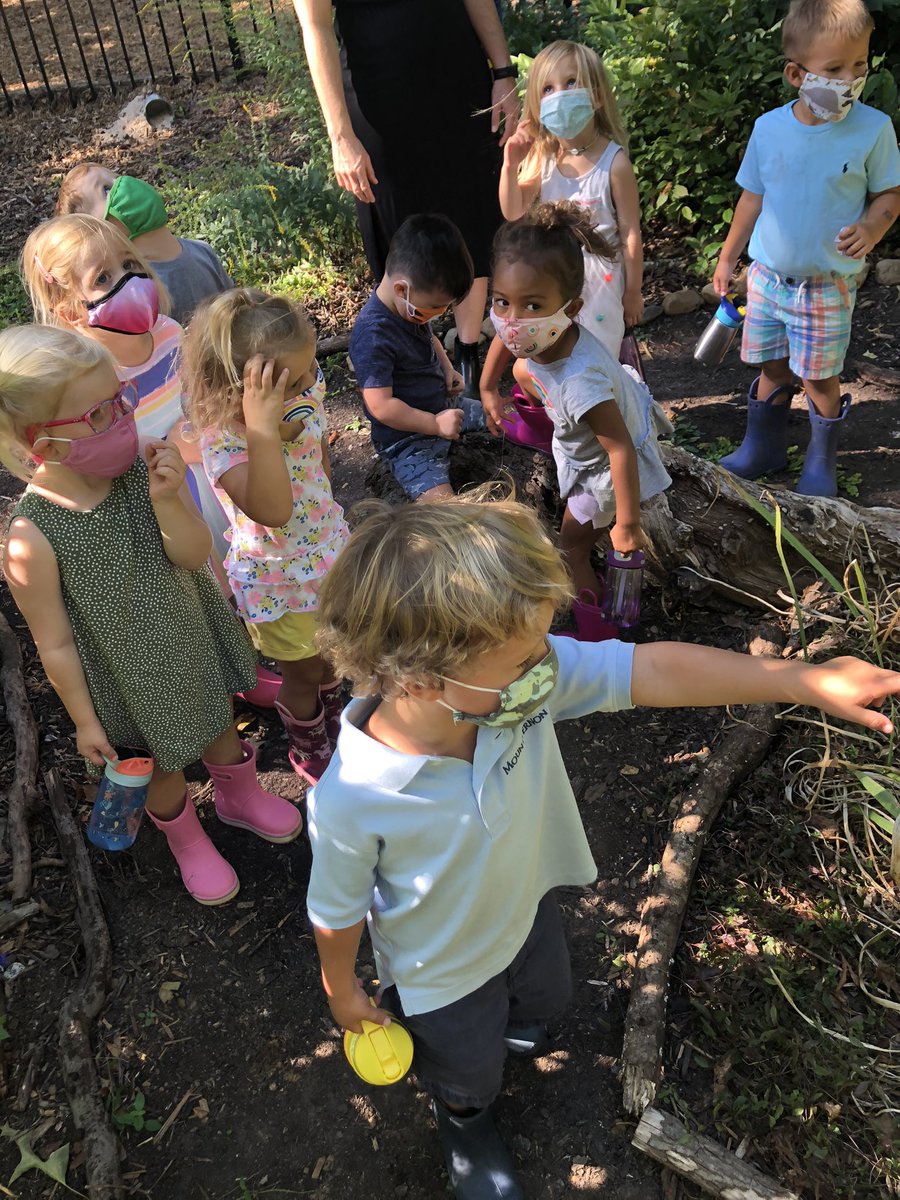 Cheryl Bruno tweet media