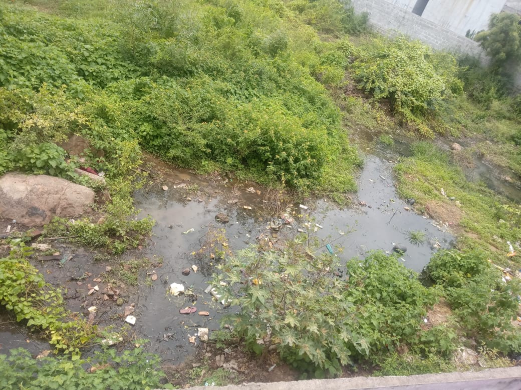 GangaMohan11's tweet photo. Severity increasing day by day.
Due to this issue, many tenants vacated from this colony.
If it continues, we may also need to go back to our hometowns.
#AskKTR #KTRTRS https://t.co/5f0S85T20i