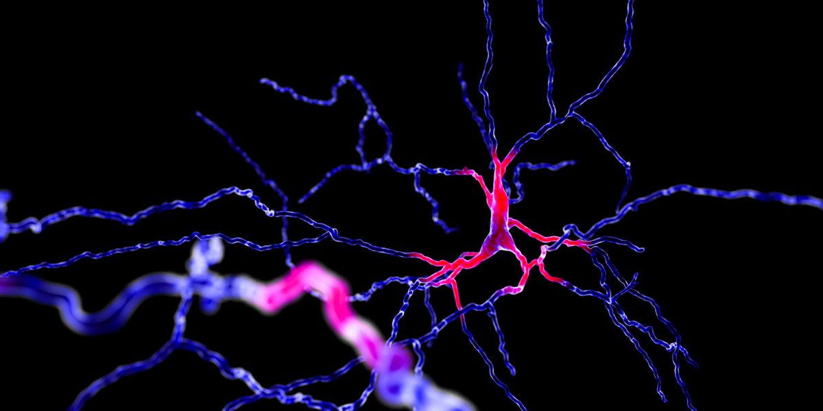 UK Dementia Research Institute tweet media