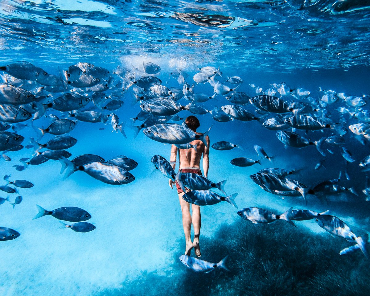 GoPro tweet media