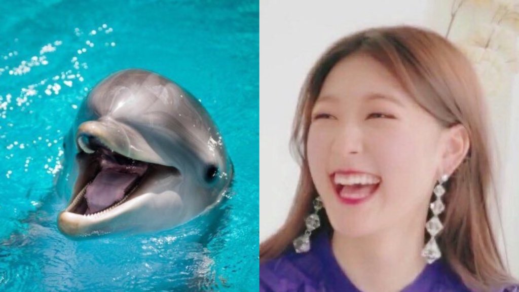soulwoness's tweet photo. el desempleo me tiene🥺: 
#2ndOrbitWithLOONA https://t.co/3LvWUaUSlN