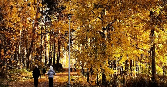 Hiiop #Helsinki! 66-vuotias nainen kaipaa ulkoilukaveria Lauttasaaressa. Aktiivinen rouva kaipaisi hieman vanhempaa (50+) vapaaehtoista, jonka kanssa ulkoilla, soitella ja tavata koronan jälkeen.

Lue lisää: hiiop100.fi/tehtavat/4615

#etsivävanhustyö  #ikäihmiset @etsivat