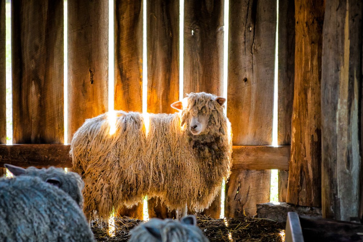 4by6.com tweet media