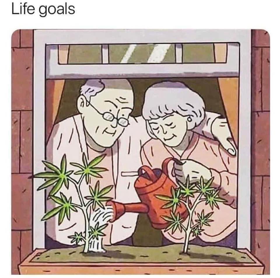 CoralReefer420's tweet photo. 🥰 https://t.co/Ta5EdwQybv