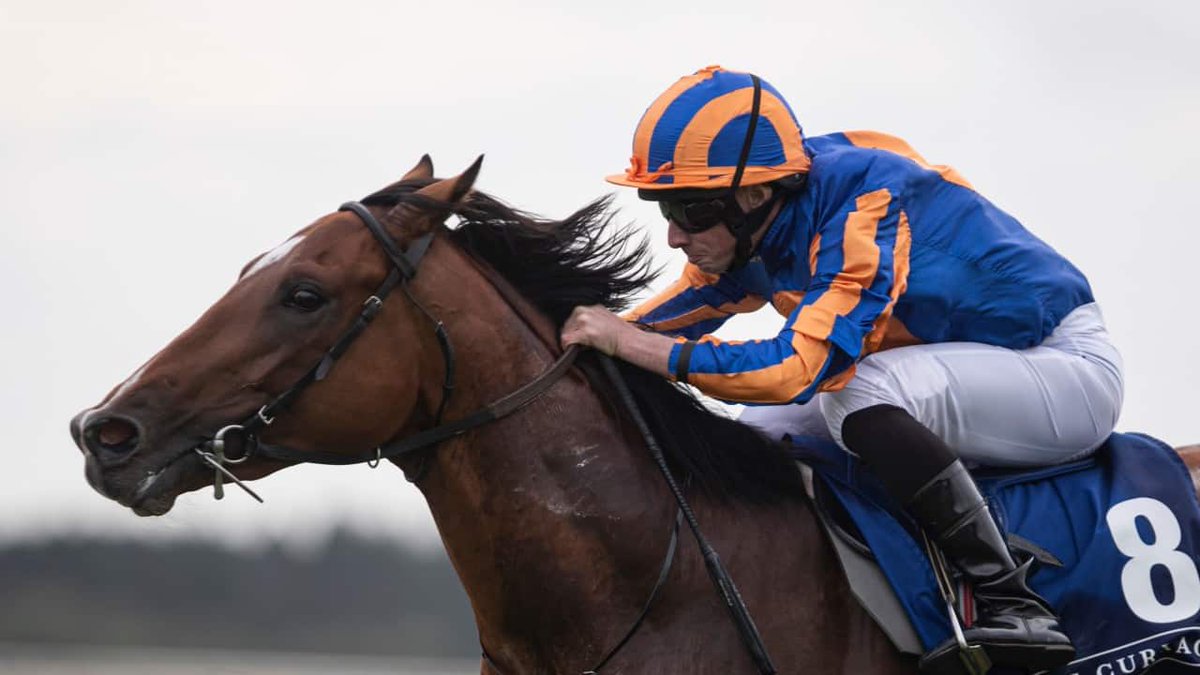 CleeveRacing's tweet photo. Cleeve members selections - Wednesday 19th August
There is a new member selections post available, please log in https://t.co/4s68SOPiDQ https://t.co/93ZUknP8Uo