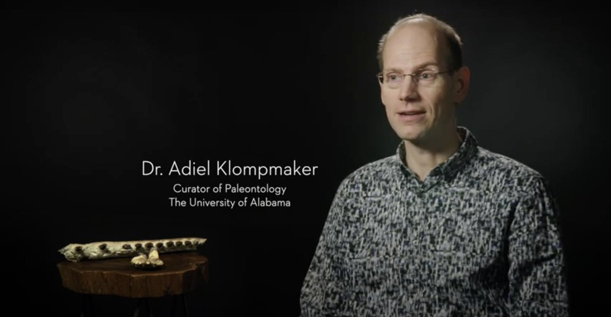 📺 : Watch "Alabama: In the Making" to see <a href="/paleoadiel/">Dr. Adiel Klompmaker @paleoadiel.bsky.social</a> talk about the importance in featuring a Basilosaurus and a Mosasaur in an art panel about Alabama's history!

🔗 : bit.ly/2YahmiM

#UAMuseums #Alabama #RollTide #Paleontology #Paleo #Mosasaur #Basilosaurus #Museum