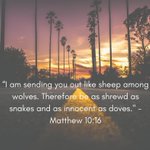 Photo by MPCLife (@MPCLife)