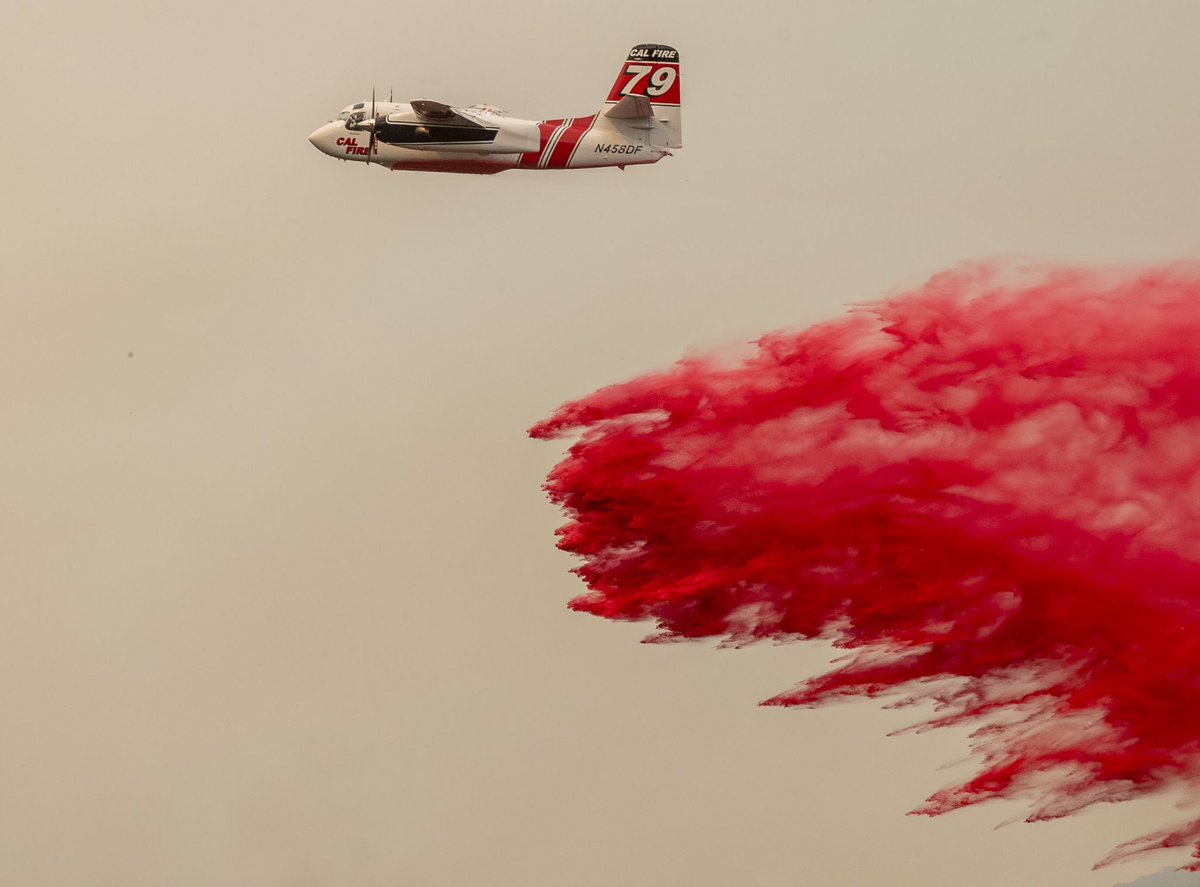 David Rodriguez Muñoz tweet media