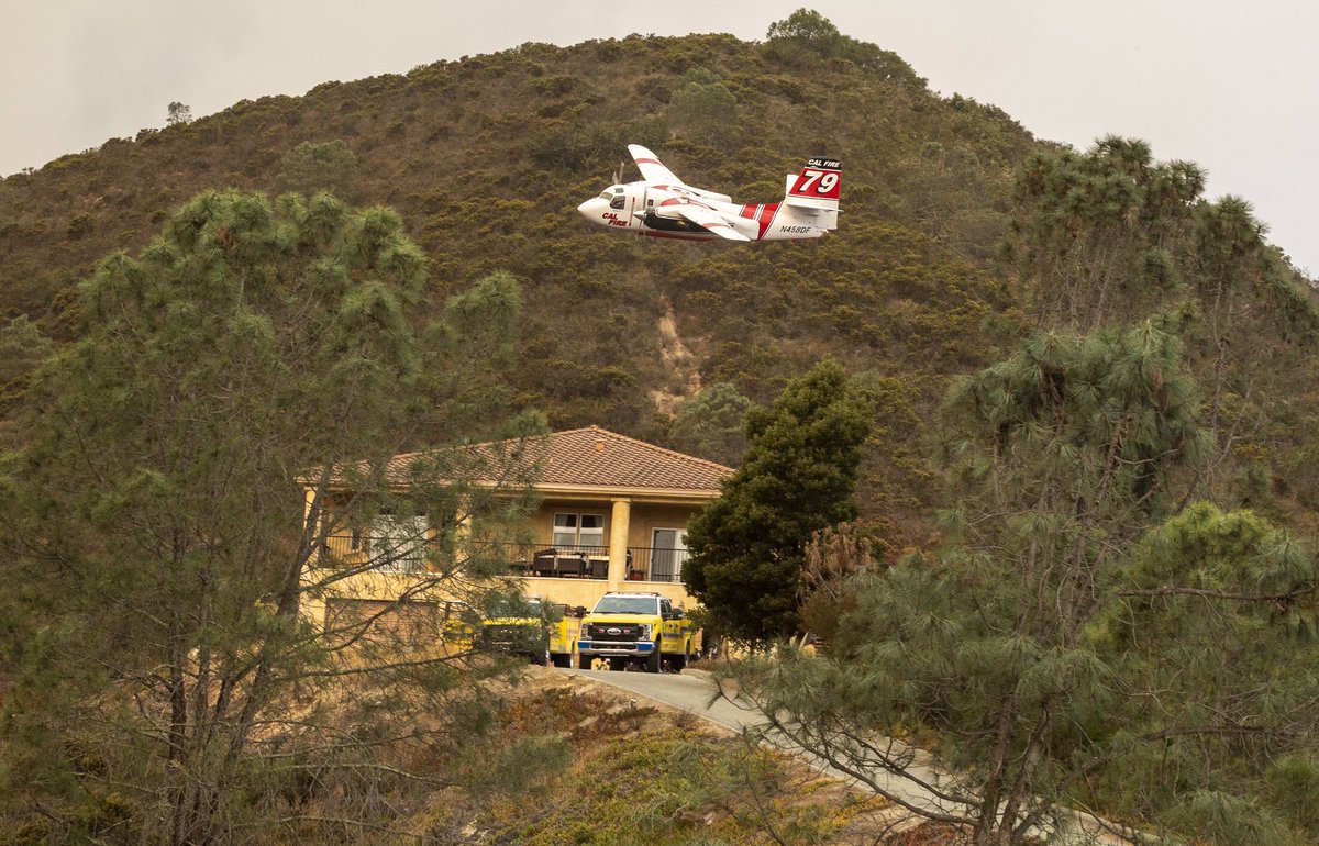 David Rodriguez Muñoz tweet media