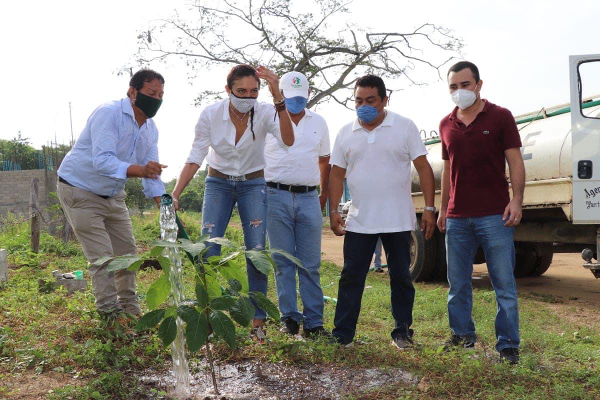IvanMijangosP's tweet photo. Me sumo a la campaña de reforestación que impulsa el H. Ayuntamiento de #SanPedroMixtepec y Agencia Mpal. de #PuertoEscondido con la Dip. @yarithtannos, agradezco la invitación; en esta ocasión se plantaron jarillas, robles y jacarandas en boulevard de Col. Aeropuerto a Chila. https://t.co/6psKgzt3PV