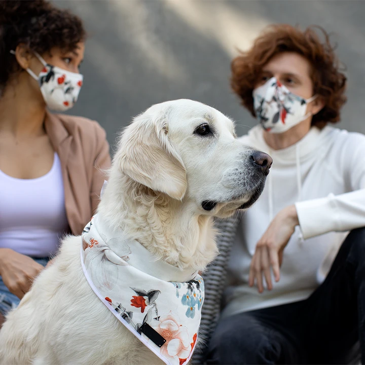 My wife launched a Face Mask &amp; Dog Bandana line this morning. She wants to make wearing a mask more fun and keep our dogs stylin' but we're also committing a portion of every sale to United Way which helps those impacted by Covid. Greatly appreciate RTs 🙏
shopludore.com