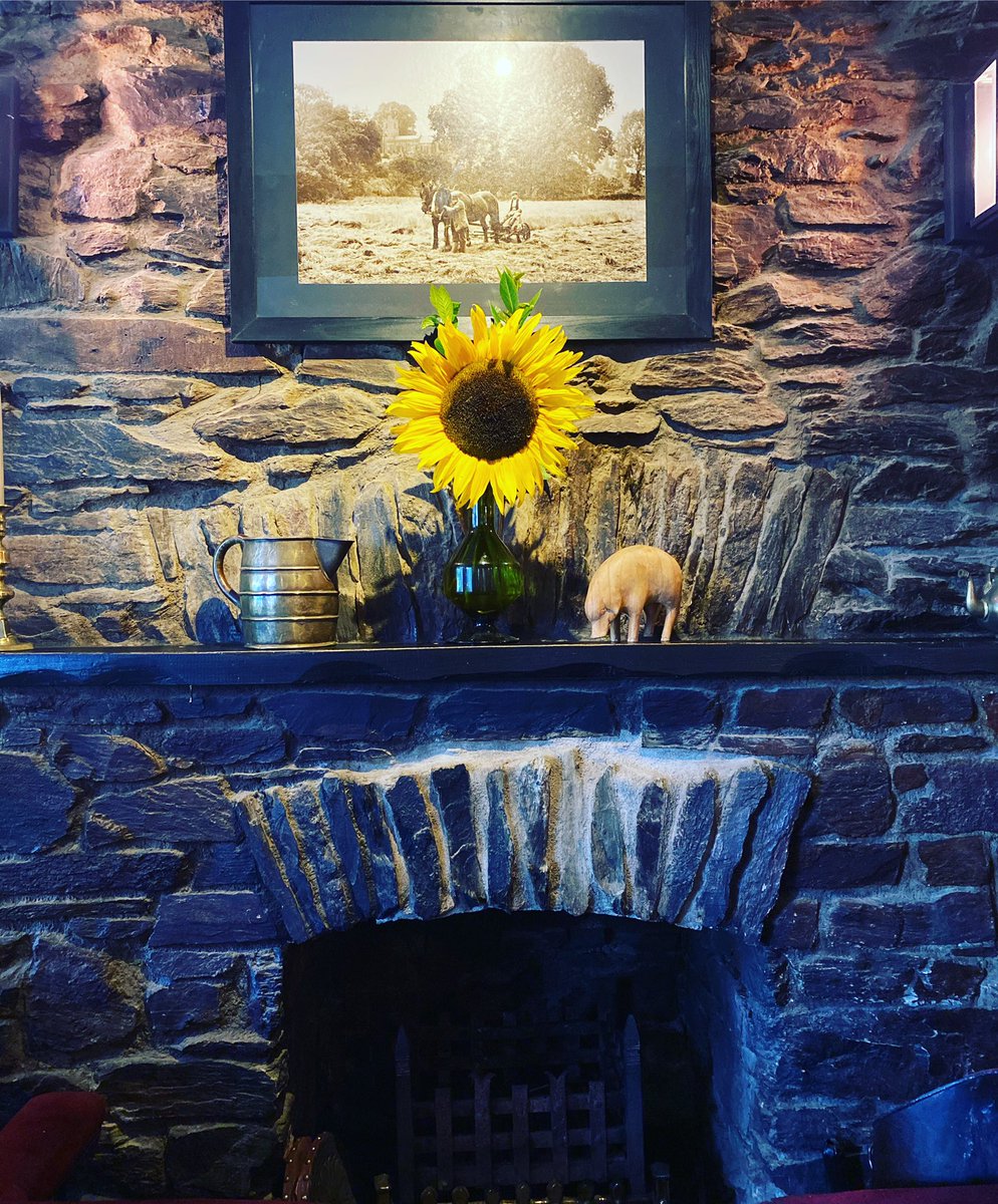 Polgooth_inn's tweet photo. A bit of Sunshine from our #pubgarden on our fire place today
#polgooth #kichengarden #Cornwall https://t.co/QidClnR16f