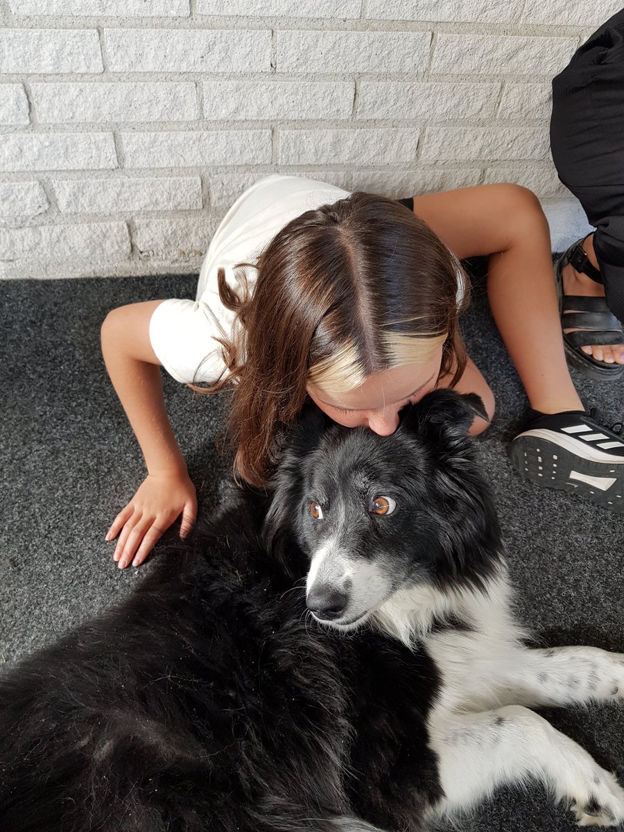 Jay Martinsson-Ravnić 🇵🇸 tweet media