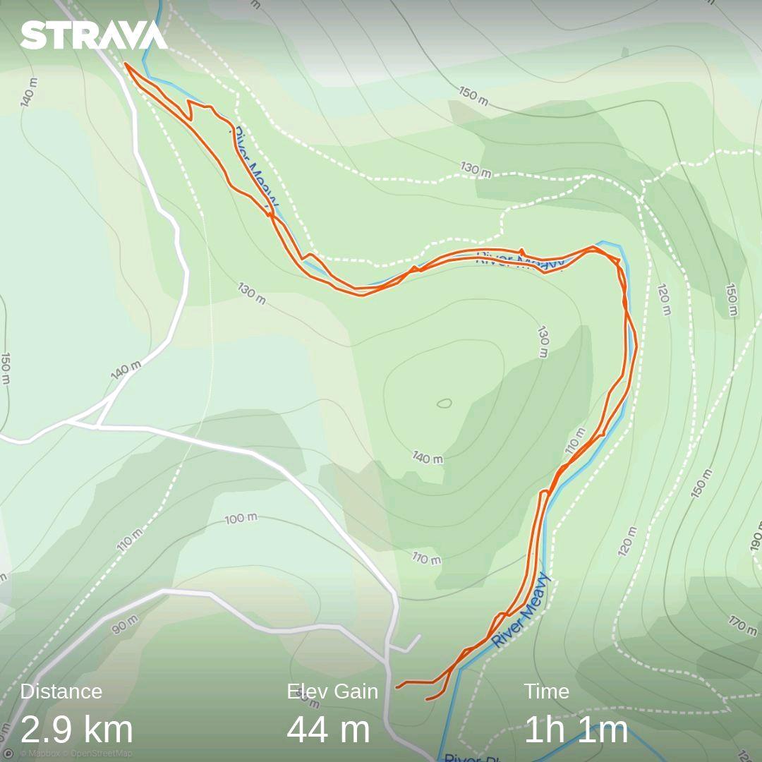 flcbellasis's tweet photo. Took advantage of the break in the rain to explore the woods #ImperialActive #NursesActive https://t.co/LpKSZuplZQ