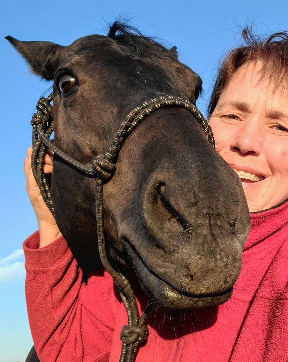 JBMEquiFarms's tweet photo. They say take lots of pics/selfies with those you love no matter if your hair is done or what you're wearing because it will be important someday ....🙈🙈🙈 sigh
#nerds #horses #morning #morningride #mbwx #thesefaces #zerocooperation https://t.co/w3o8oiTD6A