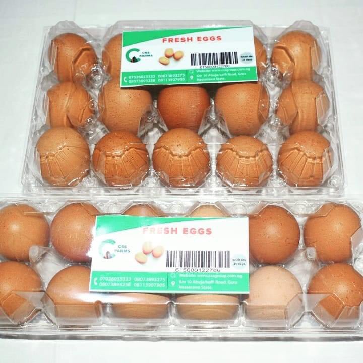 CSSGroupnigeria's tweet photo. Eggs should be consumed daily because they are rich in protein, vitamins and many more. CSS Integrated Farms offers #quality #eggs to our #customers . To place your order send us a message on whatsapp +2348151330003

#farming #poultry #agriculture #foodsafety  #food #chickens https://t.co/zOlQcvGTCj