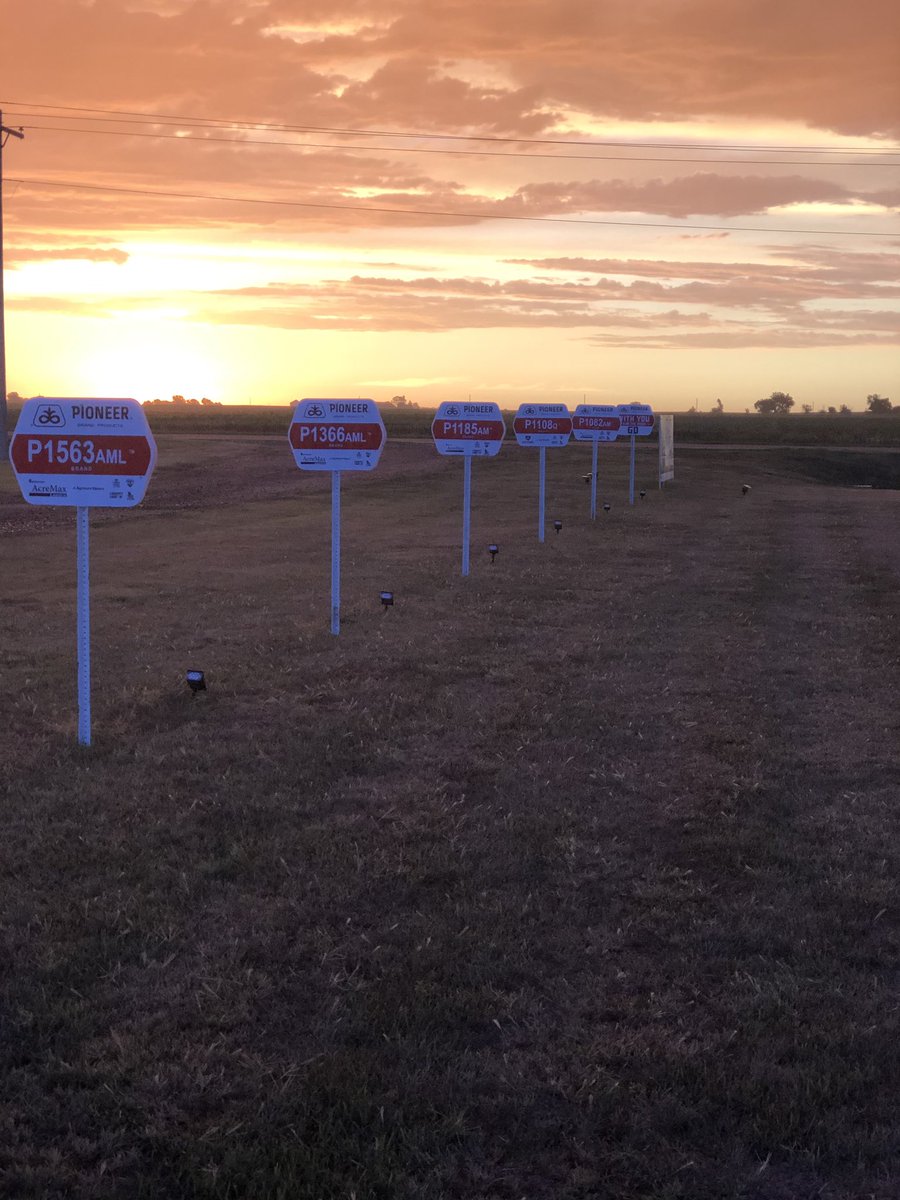 AdamSeedsCo's tweet photo. https://t.co/hK31Oec1Yr