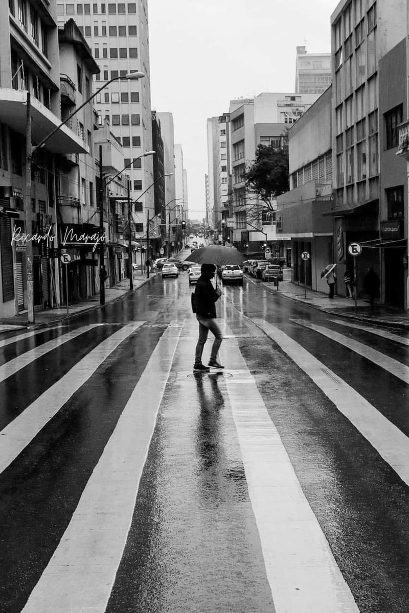RafaelGreca's tweet photo. A cidade imersa na providencial chuva, tão aguardada! Nossa alma respira e o coração curitibano pulsa aliviado. Chuvas que saciam a nossa terra seca. Somos úmidos. Somos curitibanos. No retrato de Ricardo Marajó, a Alameda Dr. Muricy - no Centro da cidade. #BomDiaDoPrefeitoGreca https://t.co/EShh2A3scw
